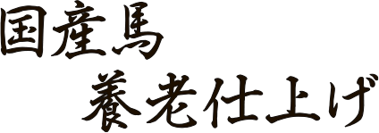 国産馬養老仕上げ